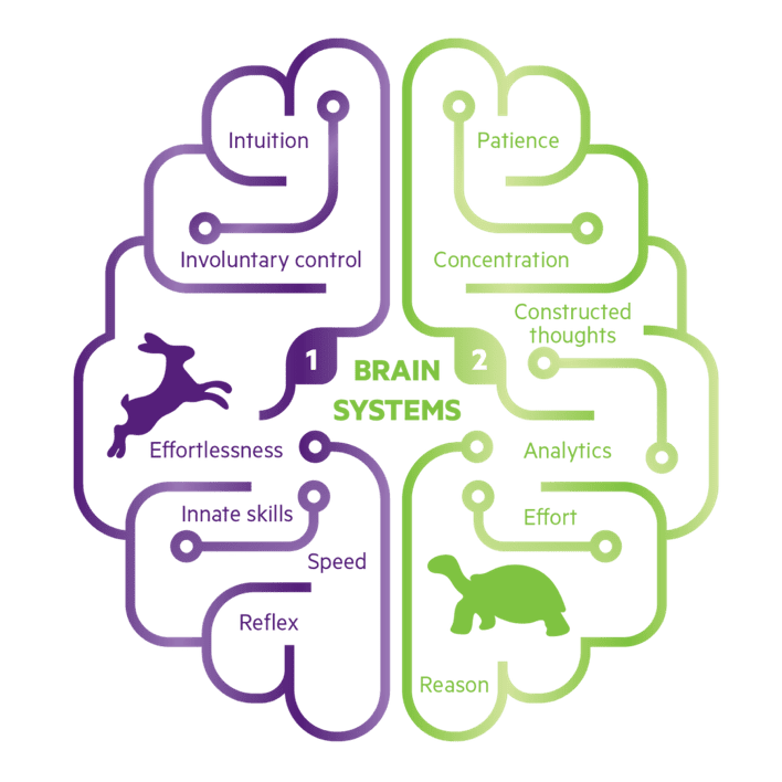 The brain's two systems